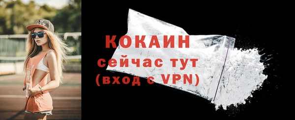 шишки Вязьма