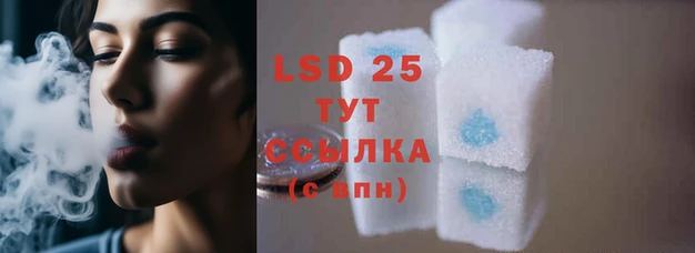 шишки Вязьма